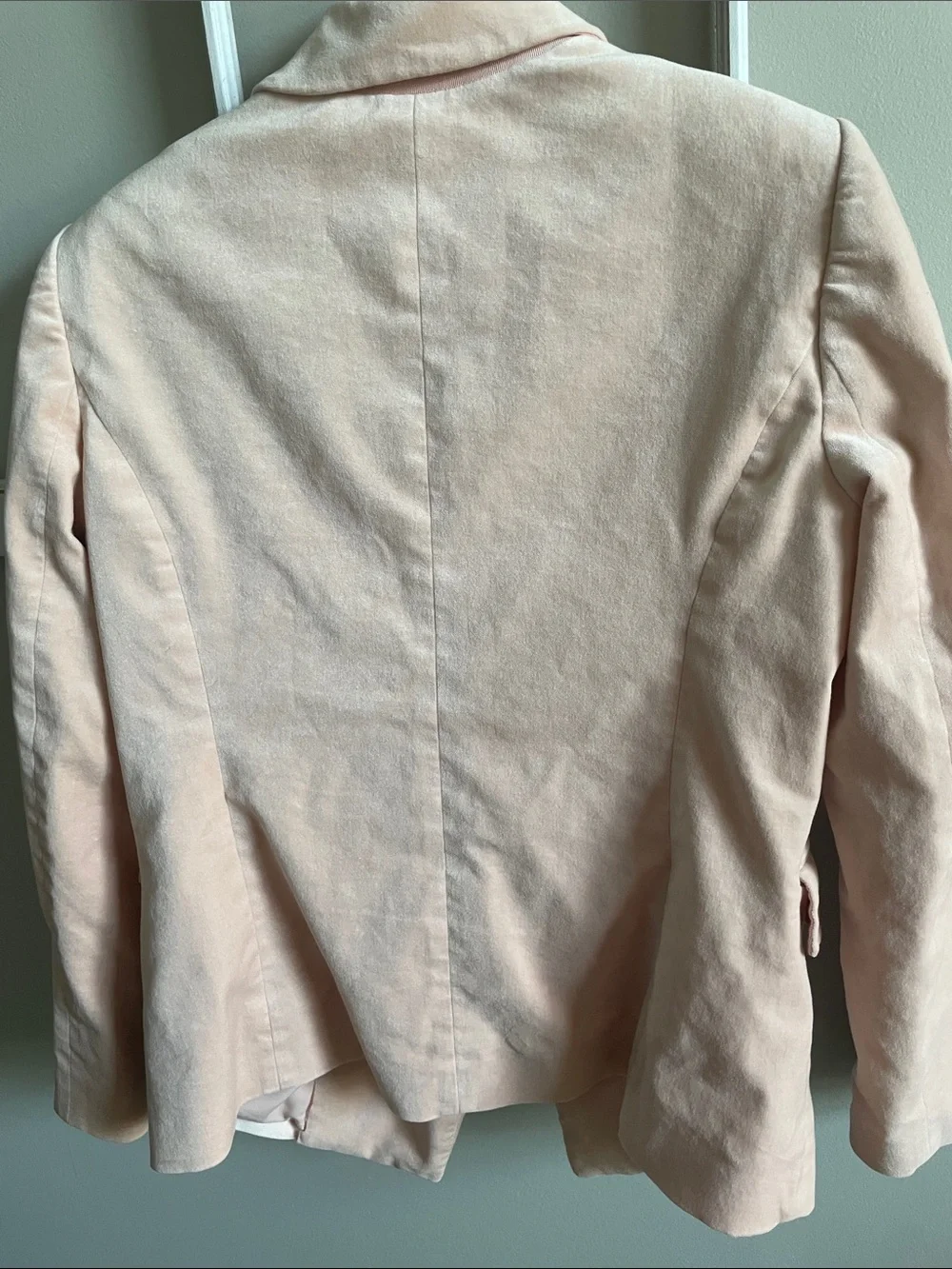 White House Black Market Double-Breasted Blazer in Pale Pink